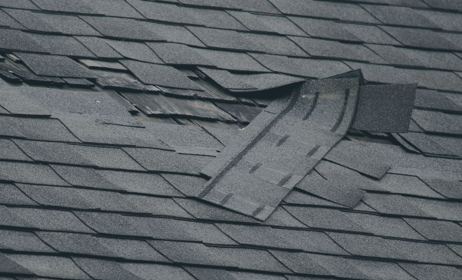 IKO Defective Organic Roofing Shingles Class Action Tousley Brain